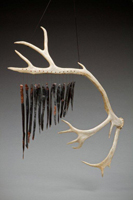 Caribou antler